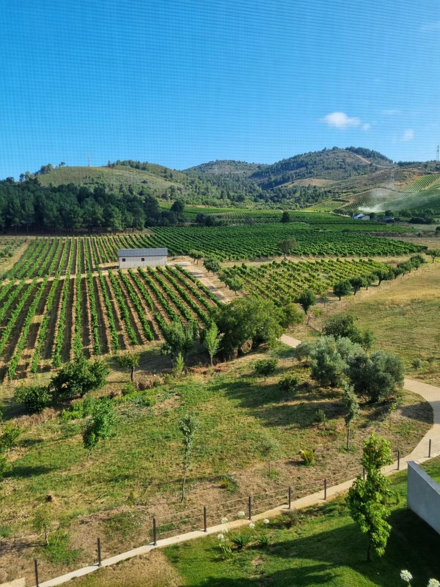 Boutique Finca Esencial Вильяфранка-дель-Бьерсо Экстерьер фото